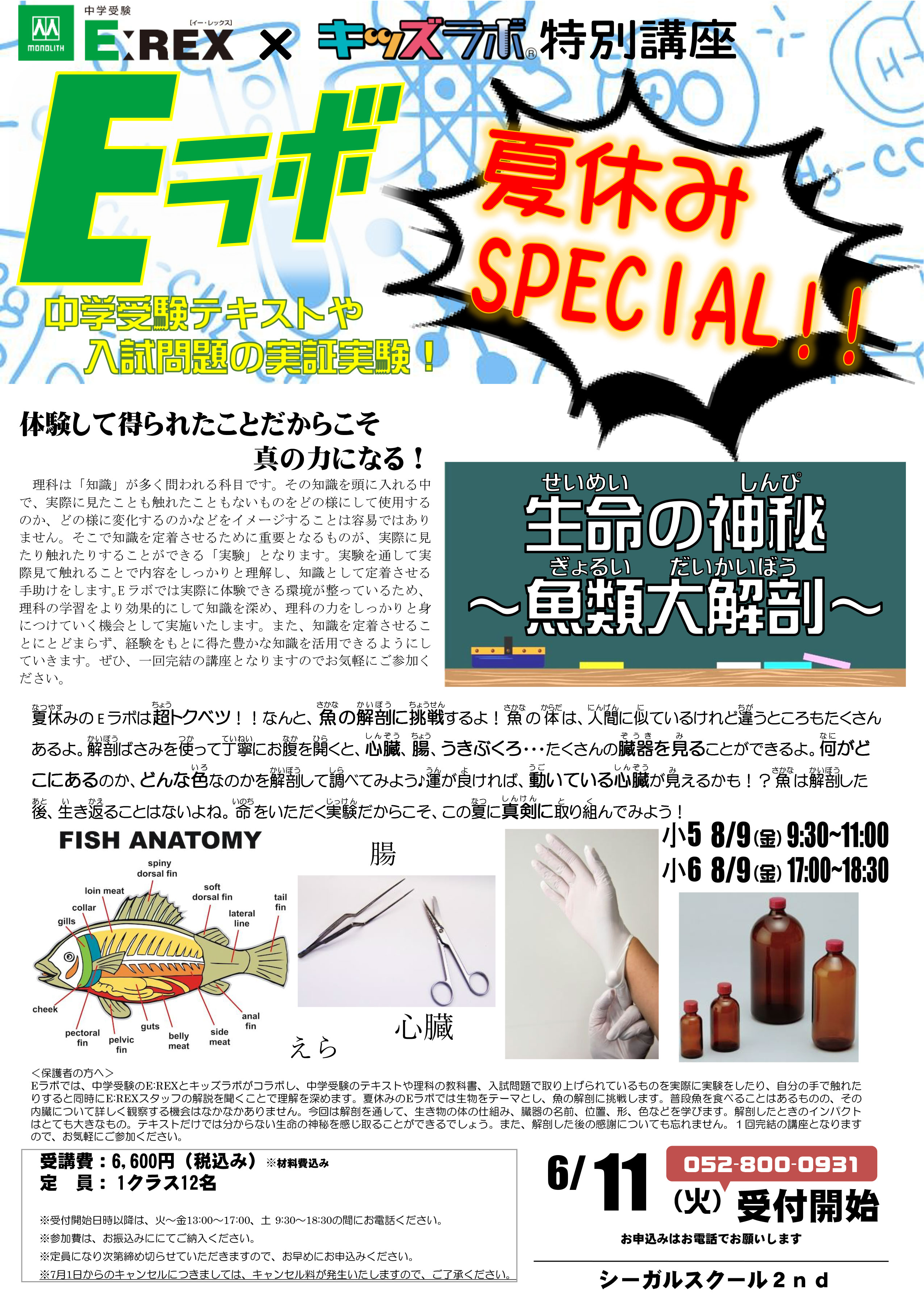EREX×シーガルスクール特別講座 理科実験講座Eラボ